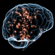 Image for article titled A chemical that can turn your organs transparent